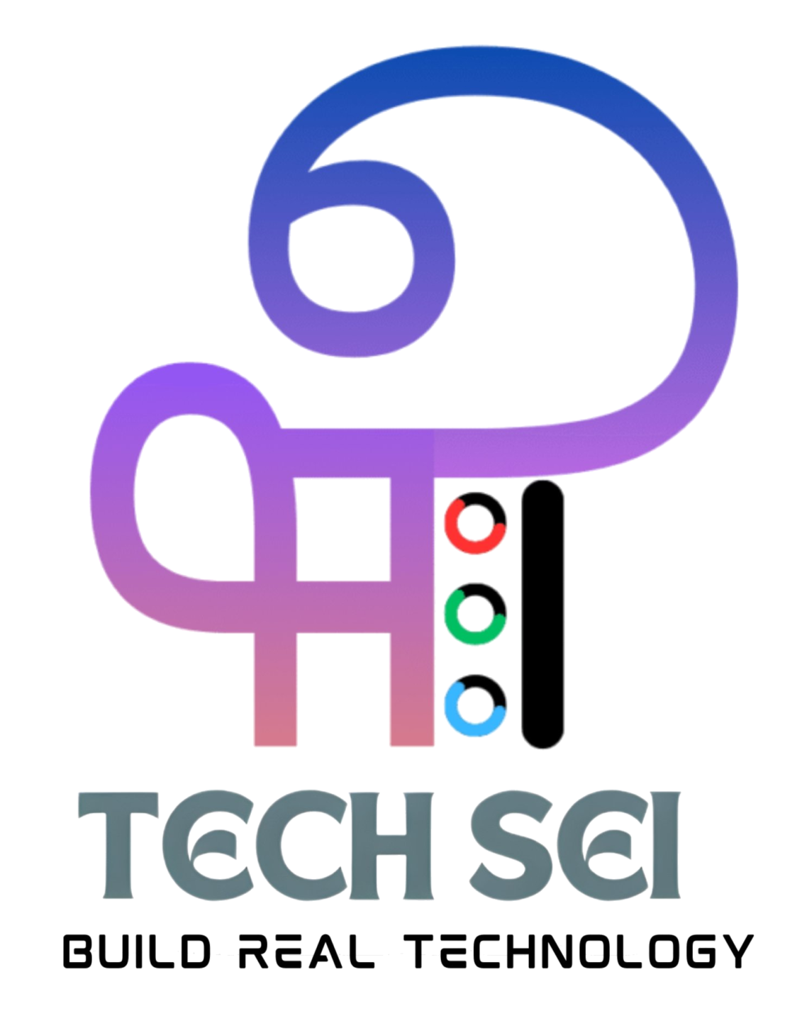 TECHSEI LAB Logo